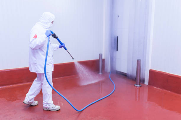 Animal Enclosure Cleaning in Piney Point Village, TX